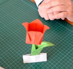 Online origami oktatás - tulipán hajtogatás