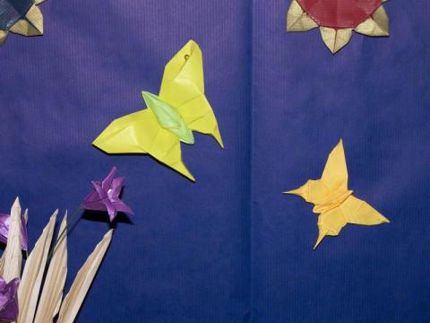 Tomasz Siwak modelljei