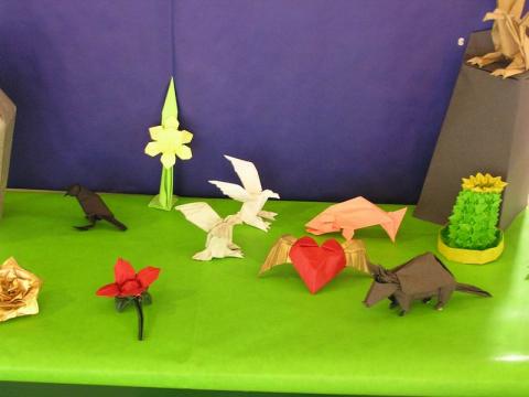 Tomasz Siwak modelljei