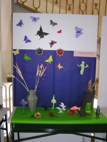 Tomasz Siwak modelljei