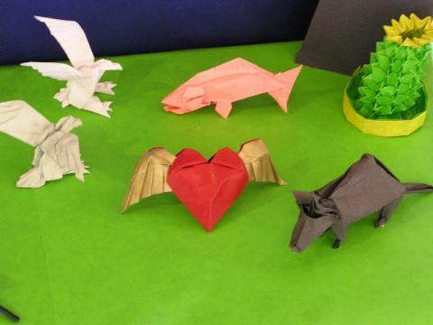 Tomasz Siwak modelljei