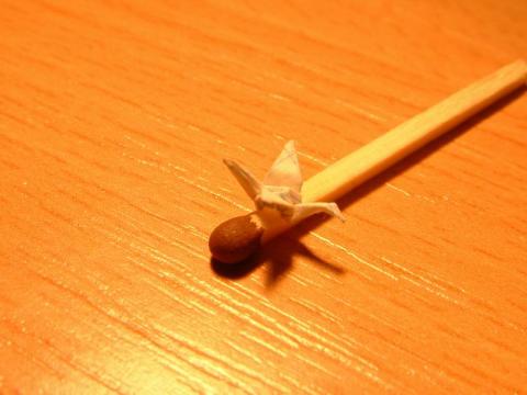 Csapkodó szárnyú madár