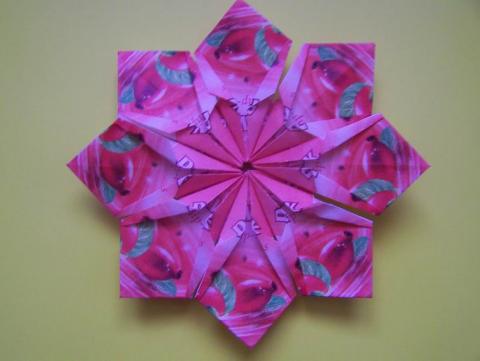 Pickwick 8 szirmos virág változat 2.