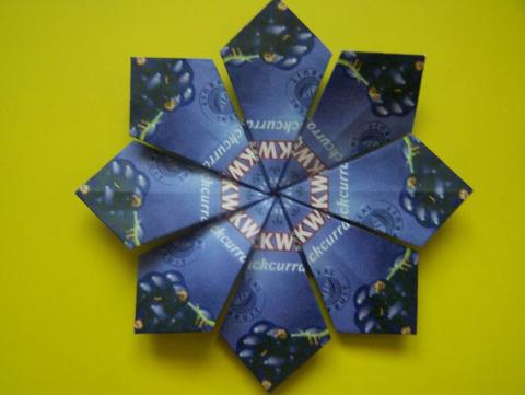 Pickwick 8 szirmos virág