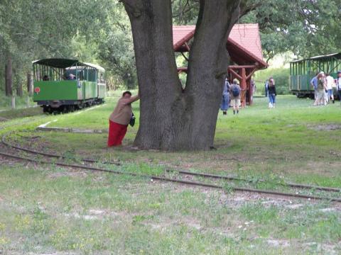 Kirándulás Gemencben