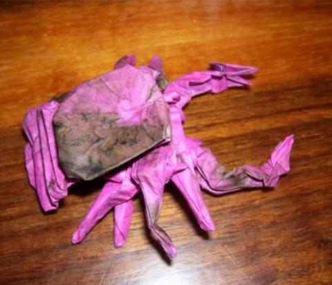 Manuel Sirgo: Pszeudskorpió