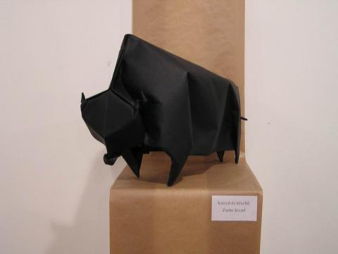 Zsebe József: Bölény