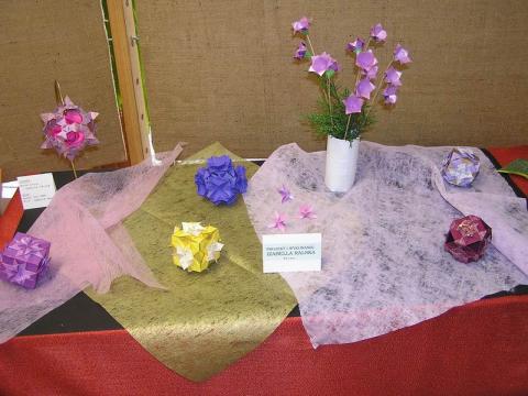 Izabella Ralska munkái