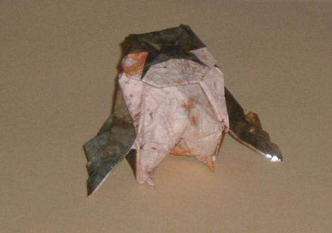 Sebők Zsolt: Bagoly