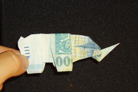 Gulyás Anikó: 1000 HUF orrszarvú