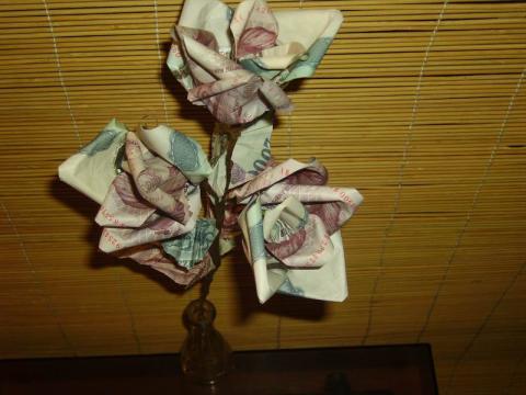 Gulyás Anikó: Rózsa pénzből