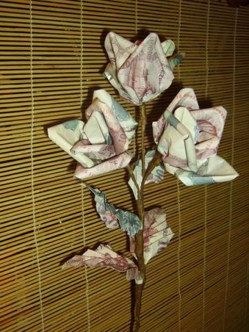 Gulyás Anikó: Rózsa pénzből