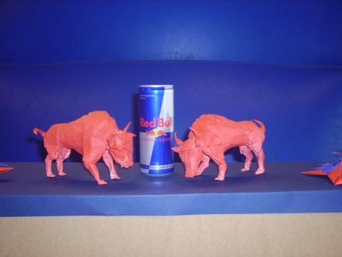 RedBull bikák