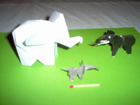 Héctor Royas F. és Fumiaki Kawahata: Elefántok