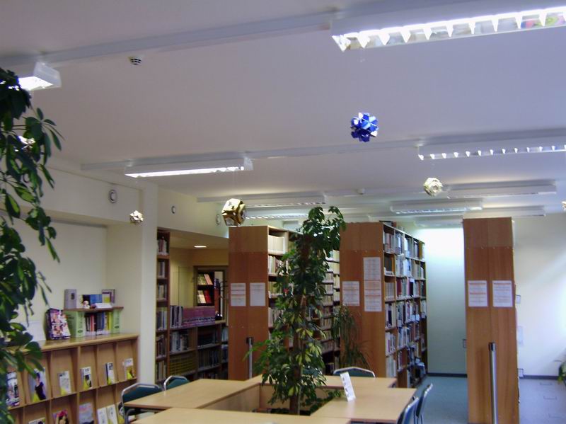 A könyvtár