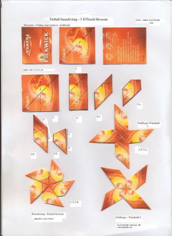 Térbeli barackvirág