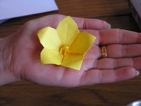 Frim Balázs virága