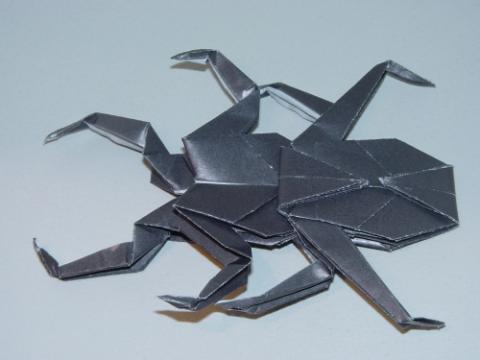 ori_bhh_szarvasbogar