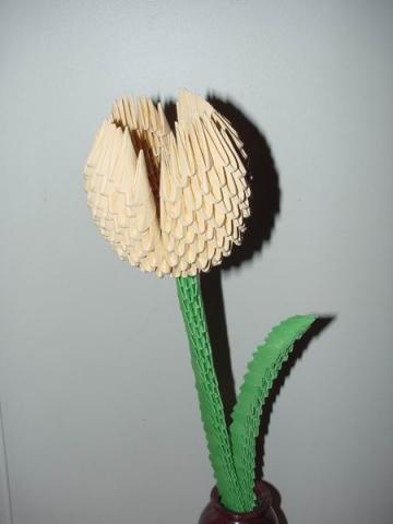 ori_bhh_tulipanom