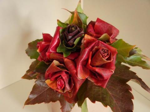 Vadszőlőlevél rózsa