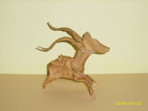 Sebők Zsolt: Gazella