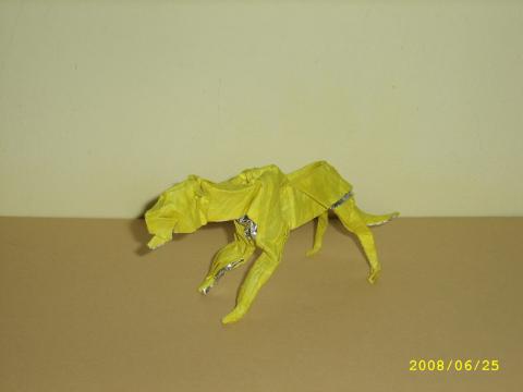 Sebők Zsolt: Gepárd