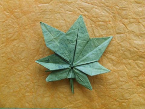 levél / leaf