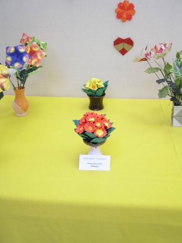 Ácsné Dóczi Éva: Primulák