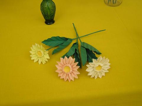 Ácsné Dóczi Éva: Gerberák