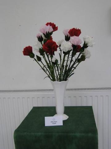 Jilling Mária: Szegfűk