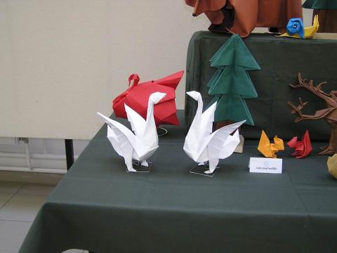 Zsebe József modelljei